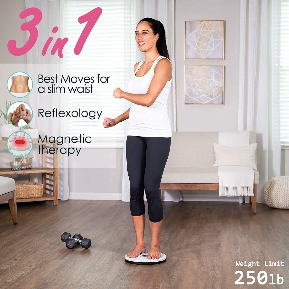 Tummy Twister Fitness Disc